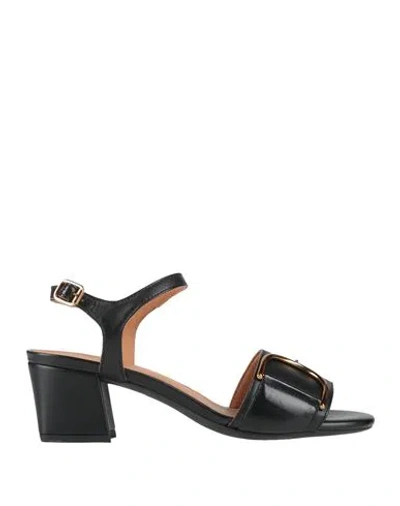 Geox Woman Sandals Black Size 8 Leather