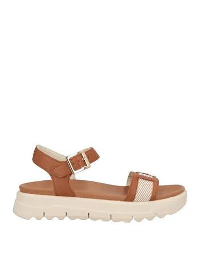 Geox Woman Sandals Brown Size 7 Leather, Textile Fibers