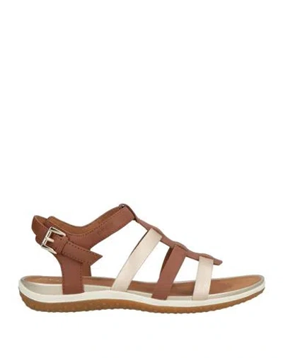 Geox Woman Sandals Brown Size 8 Leather, Textile Fibers