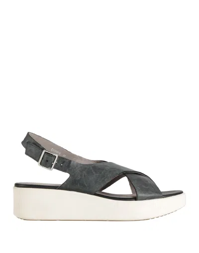 Geox Sandals In Grey