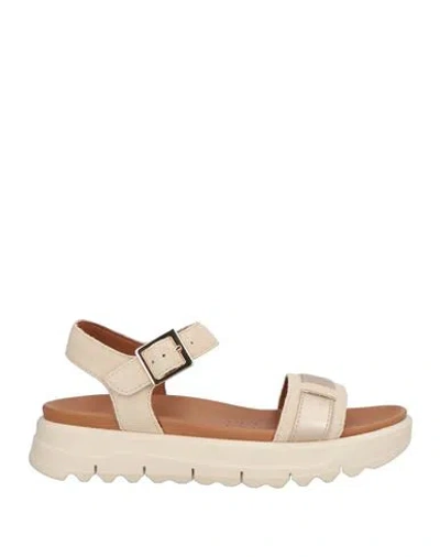 Geox Woman Sandals Ivory Size 8 Leather, Textile Fibers In White