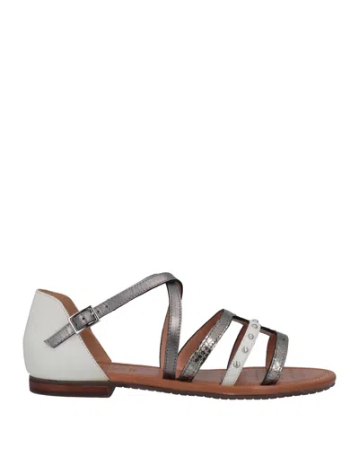Geox Sandals In Grey