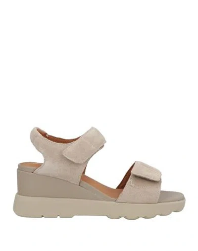Geox Woman Sandals Light Grey Size 8 Leather