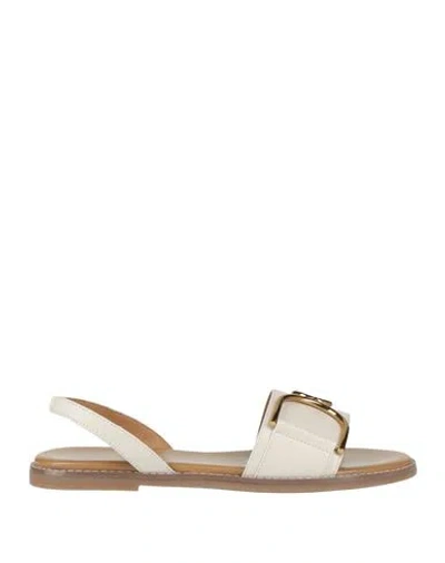 Geox Woman Sandals Off White Size 8 Leather