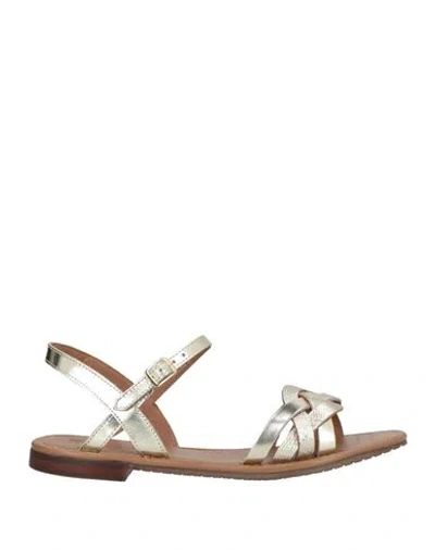 Geox Woman Sandals Platinum Size 8 Leather In Grey