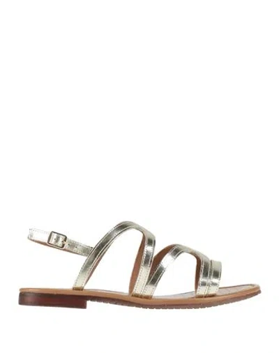 Geox Woman Sandals Platinum Size 8 Leather In Grey