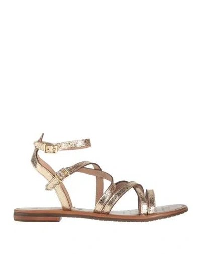 Geox Woman Sandals Platinum Size 8 Leather In Grey
