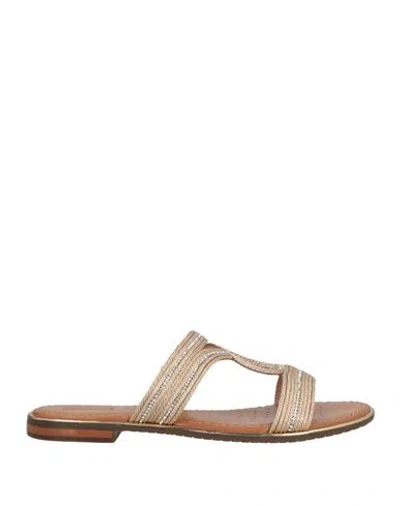 Geox Woman Sandals Platinum Size 8 Textile Fibers In Grey