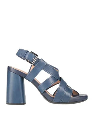 Geox Sandals In Blue