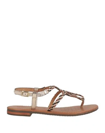 Geox Woman Thong Sandal Platinum Size 8 Leather In Grey