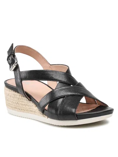 Geox Women's Dischia Sandal In Black In Transparent