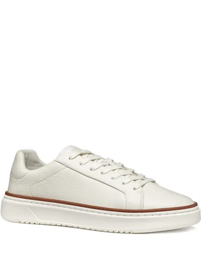 Geox Zackerty Sneakers