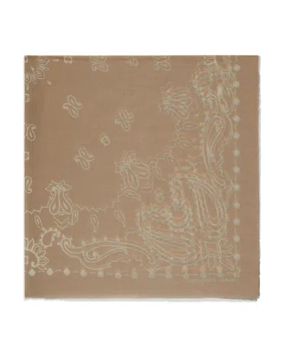 Gerard Darel Dorine Printed Cotton Scarf In Brown