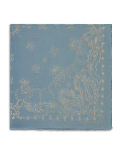 Gerard Darel Dorine Printed Cotton Scarf In Purple