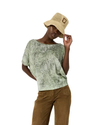 Gerard Darel Mariel Snakeskin Print T-shirt In Green