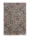 Gerard Darel Rosalie Wool & Cashmere Scarf In Multi