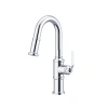 Gerber Kinzie Single Handle Pull Down Sprayer Bar Faucet In Chrome