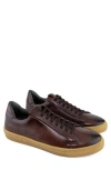 Gernie 36s Low Top Sneaker In Brown Grainy