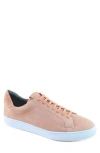 Gernie 36s Low Top Sneaker In Rosa Suede