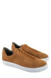 Gernie 36s Low Top Sneaker In Tan Suede