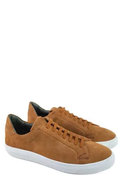 Gernie 36s Low Top Sneaker In Tan Suede