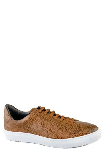 Gernie Slip-on Low Top Sneaker In Cognac