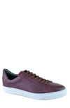 Gernie Slip-on Low Top Sneaker In Merlot
