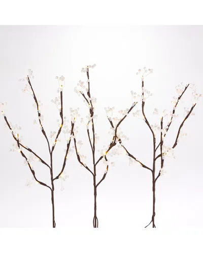 Gerson International Everlasting Glow Set Of 3 23.62in Brown Pvc Wrapped Branches With White Berries And 60 Led Lights In Multicolor