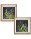 Gerson International Set Of Two 15.75-in H Night Fern Wall Art In Woode In Green