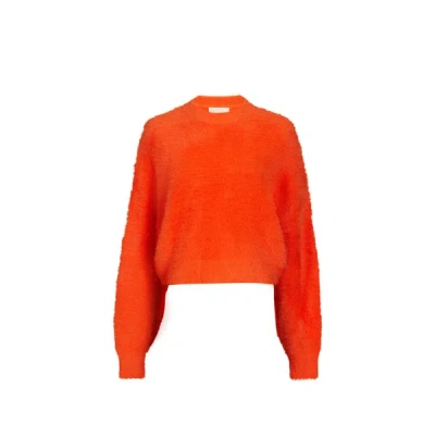 Gertrude Et Gaston Pull En Laine In Red