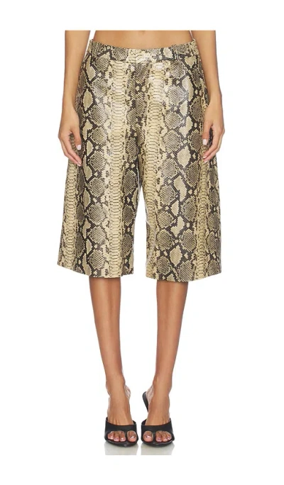 Gestuz Allis Mid Waist Snake Shorts In Animal Print