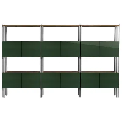 Pre-owned Ghidini 1961 Flexor Green Wood & Metal Bookshelf By Gio Ponti