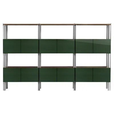 Pre-owned Ghidini 1961 Flexor Green Wood & Metal Bookshelf By Gio Ponti