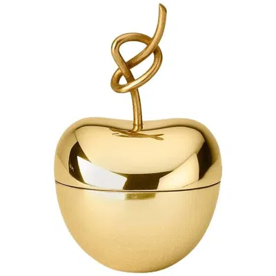 Pre-owned Ghidini 1961 Small Knotted Cherry Box In Polished Brass In Orange