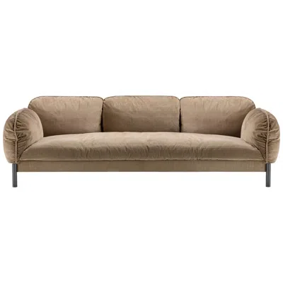 Pre-owned Ghidini 1961 Tarantino 3 Seaters Sofa In Brown Fabric With Black Gold Legs