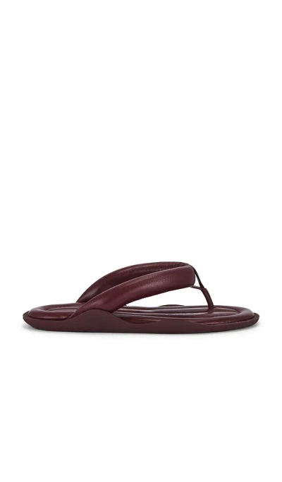 Gia Borghini Harper Sandal In Wine