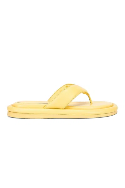 Gia Borghini Leather Thong Sandal In Butter Yellow