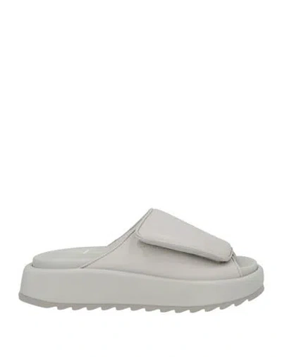 Gia Borghini Woman Sandals Light Grey Size 7.5 Textile Fibers, Soft Leather