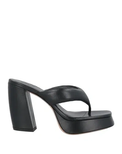 Gia Borghini Woman Thong Sandal Black Size 9.5 Leather