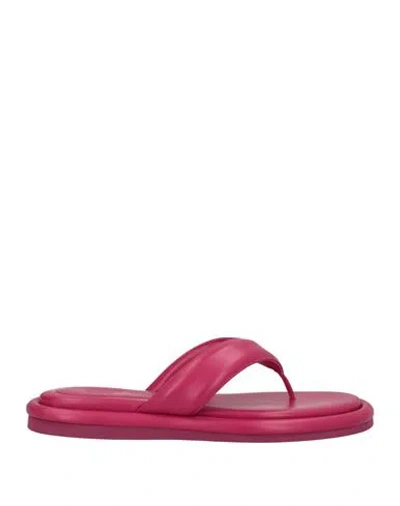 Gia Borghini Woman Toe Strap Sandals Magenta Size 6 Soft Leather