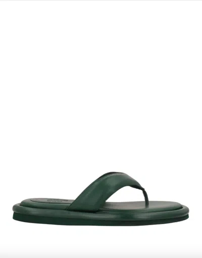 Gia Borghini Women's Puffy Thong Sandal In Cliff Green In Multi