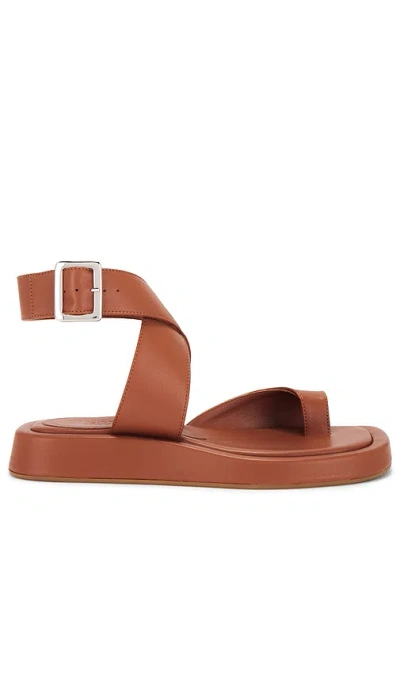 Gia Borghini X Revolve Roxanne Sandal In 棕色