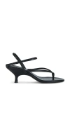 Gia Borghini X The Grandquist The Thong Sandal In Black