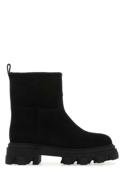 Gia Couture Suede Ankle Boots In Black