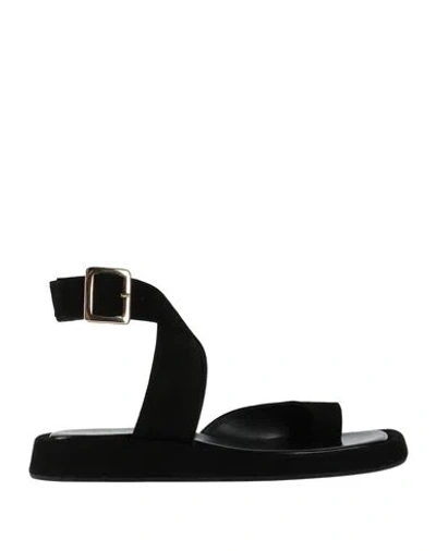 Gia Rhw Gia / Rhw Woman Thong Sandal Black Size 9.5 Leather