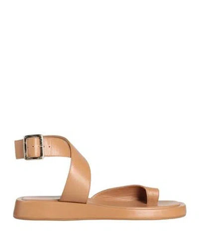 Gia Rhw Gia / Rhw Woman Thong Sandal Brown Size 11 Soft Leather