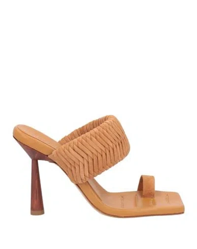 Gia Rhw Gia / Rhw Woman Thong Sandal Camel Size 6.5 Leather In Beige
