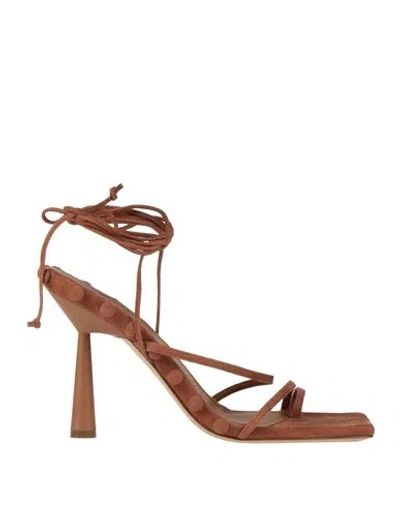 Gia Rhw Gia / Rhw Woman Thong Sandal Camel Size 8 Leather In Beige