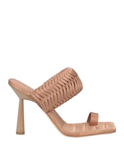 Gia Rhw Gia / Rhw Woman Thong Sandal Copper Size 7 Textile Fibers In Beige
