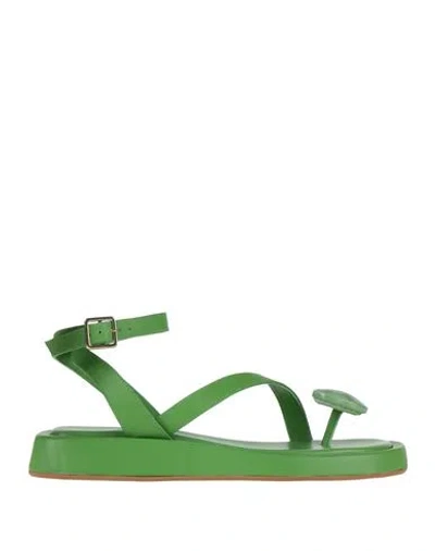 GIA RHW GIA / RHW WOMAN THONG SANDAL GREEN SIZE 6 LEATHER